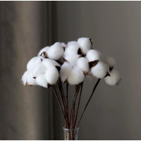 Vintage Doğal Kuru Pamuk Demet - 21348 - 